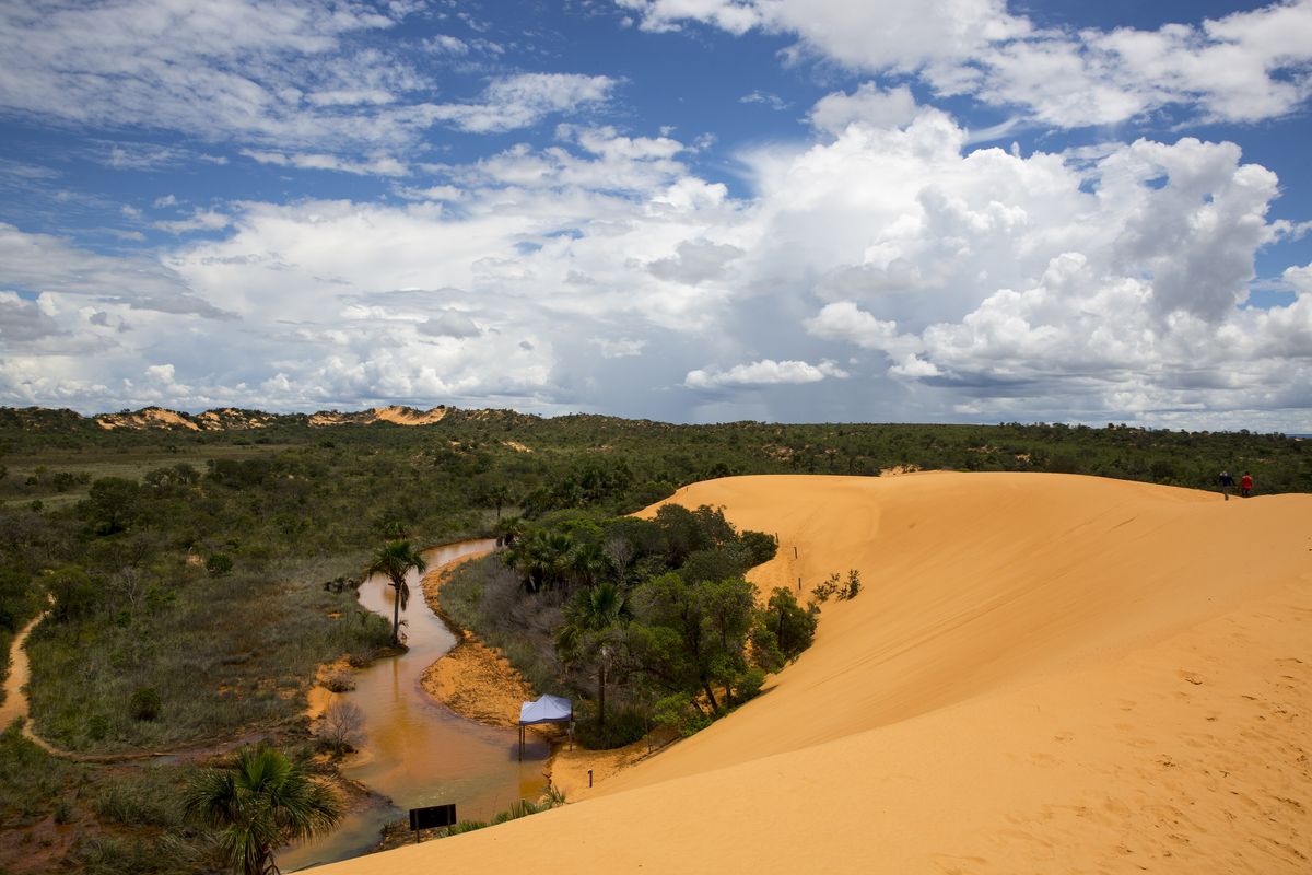 Dunas do Jalapão ao lado de um rio, com cerrado ao fundo