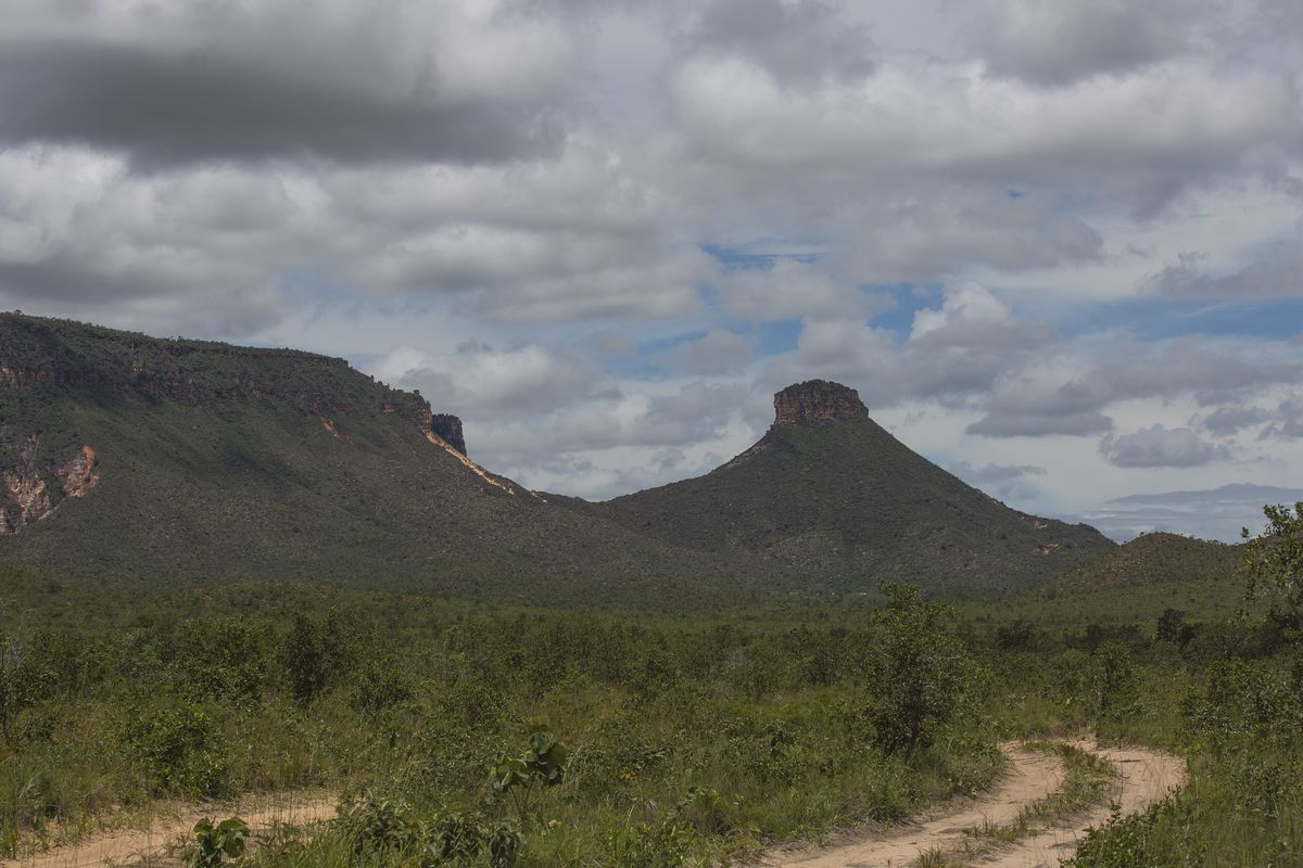 Morro Saca Trapo, Mateiros